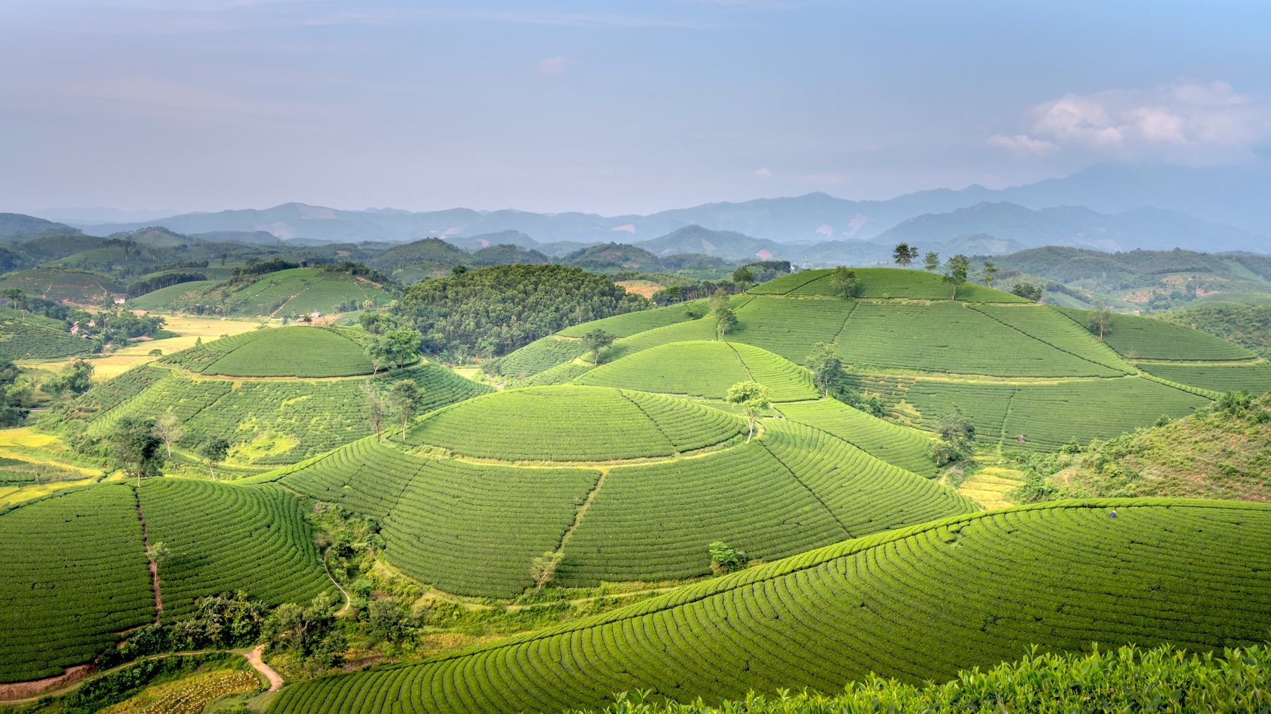 Vista panoramica di colline verdi e terrazzamenti agricoli sotto un cielo blu.