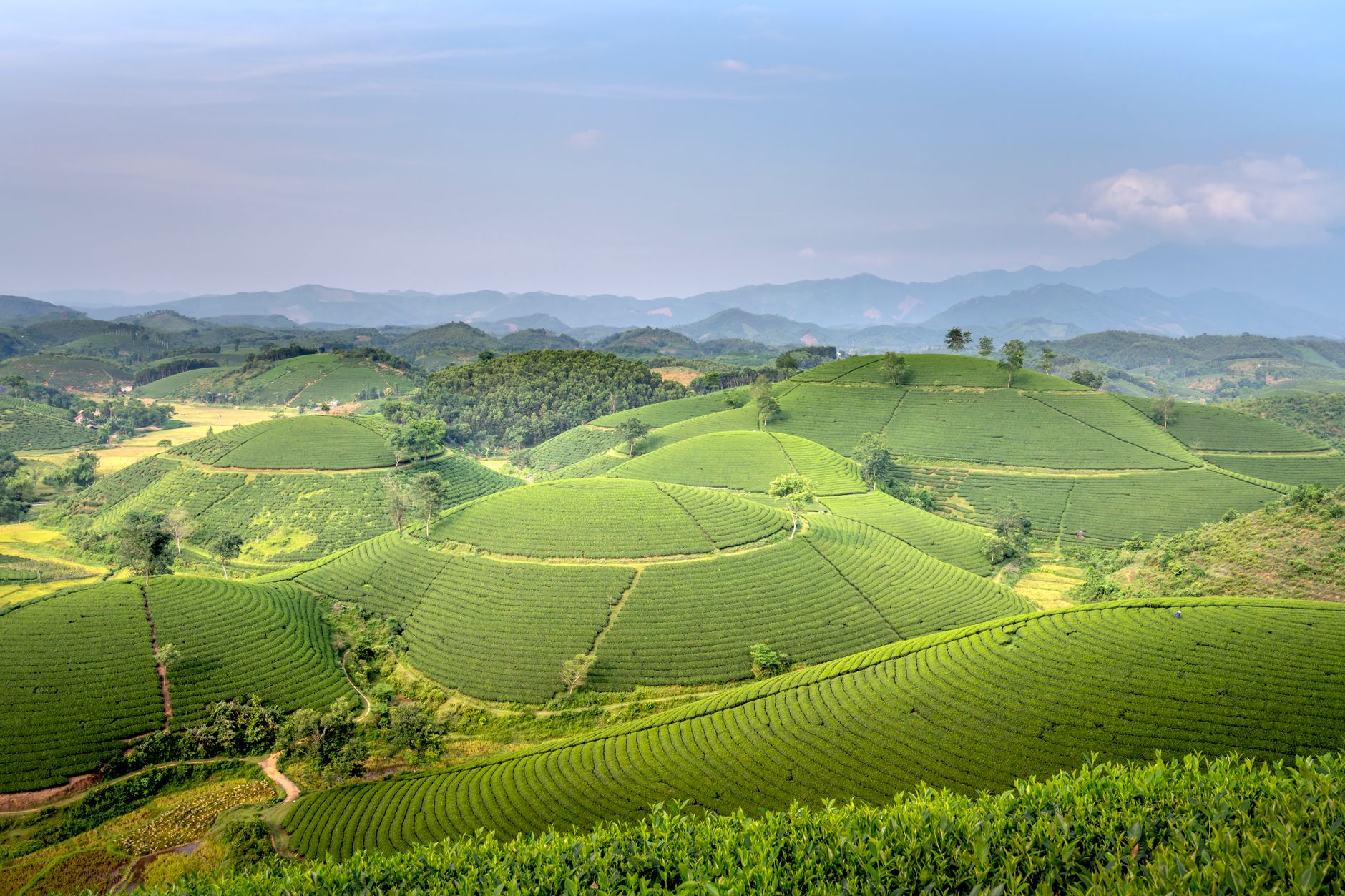 Scenic view of rolling green hills and agricultural terraces under a blue sky.