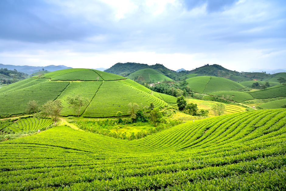 destinasi wisata di Taiwan yang jarang diketahui
