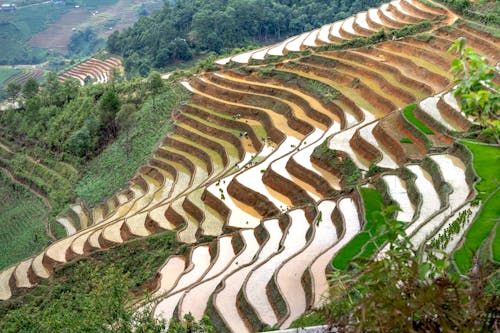 Hills with rice plantations in countryside