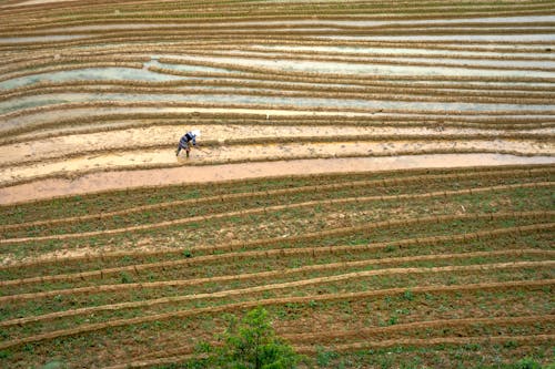 Aerial Shot of a Person Farming