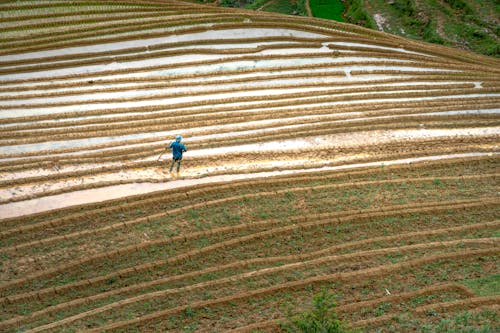 Aerial Shot of a Person Farming