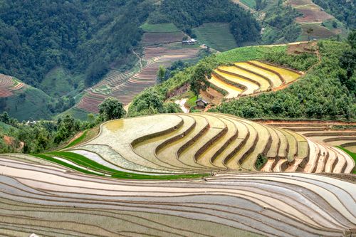 Free A breathtaking aerial view of lush green rice terraces, showcasing natural beauty and agricultural harmony. Stock Photo