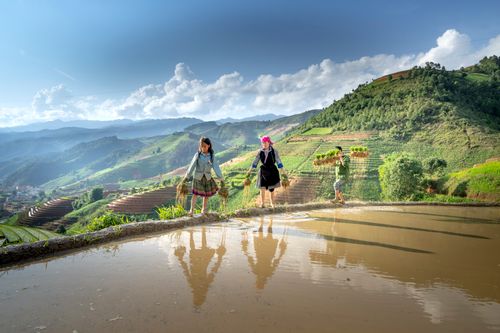 Free Ethnic farmers working on rice terraces in a scenic hilly landscape under clear skies. Stock Photo