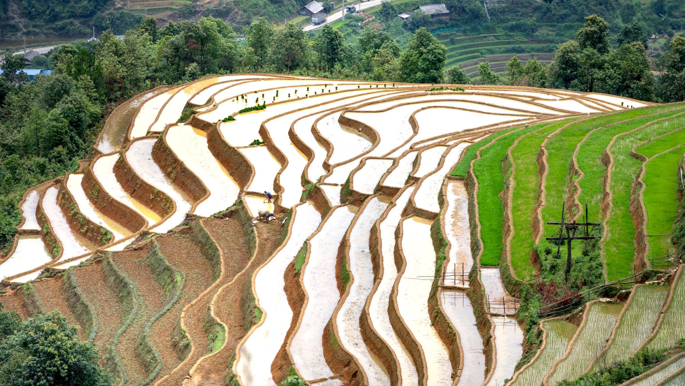 Aerial view of beautiful rice terraces in a lush, rural landscape.