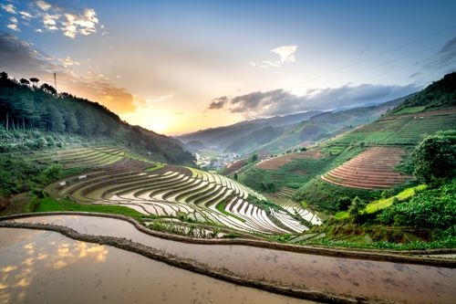 Free A breathtaking aerial shot of rice terraces in lush countryside at sunset, showcasing natural beauty. Stock Photo