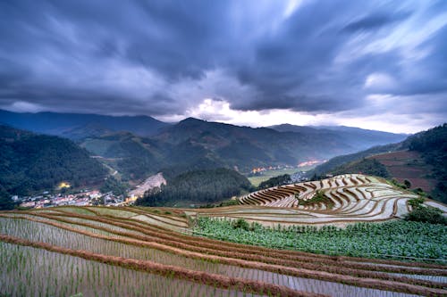 Free Rice Terraces under a Cloudy Sky Stock Photo