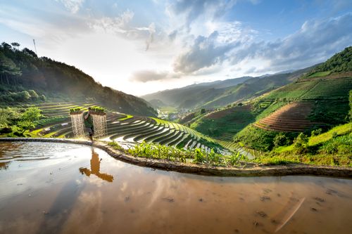 Free Picturesque scenery of green rice plantations growing on slopes of hills near mountains under cloudy blue sky on sunny summer day Stock Photo