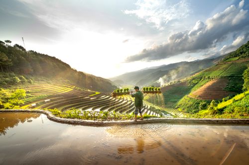 Free A man works in picturesque rice terraces during a dramatic sunset, showcasing rural Asian agriculture. Stock Photo