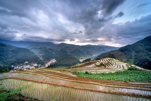Cloudy day over terraced rice fields in a mountainous region, showcasing natural beauty and agricultural ingenuity.
