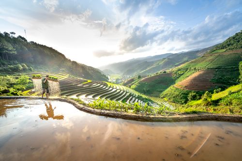 Free Idyllic landscape of rice terraces with a farmer walking in a tranquil valley during sunset. Stock Photo