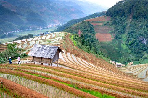 Free Beautiful terraced rice fields with wooden hut and two people walking, showcasing countryside life. Stock Photo