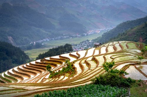Free Breathtaking terraced rice fields in a lush valley, perfect spring landscape. Stock Photo