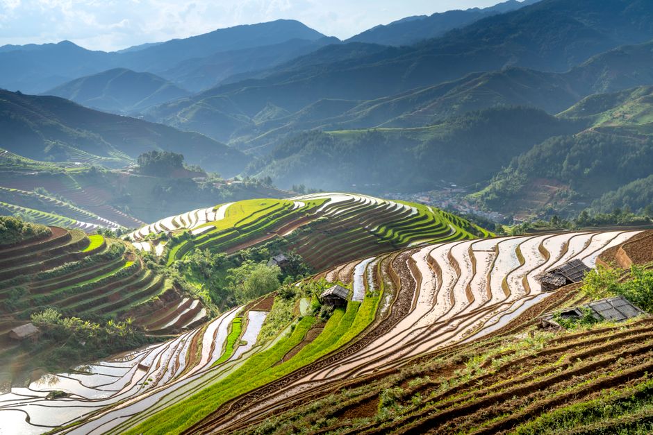 A breathtaking aerial shot of lush Asian rice terraces under a clear sky.
