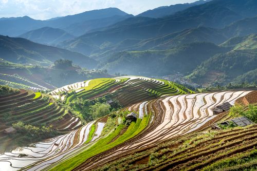Free A breathtaking aerial shot of lush Asian rice terraces under a clear sky. Stock Photo