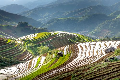Free Stunning view of terraced rice fields in a rural valley during summer, captured from above. Stock Photo