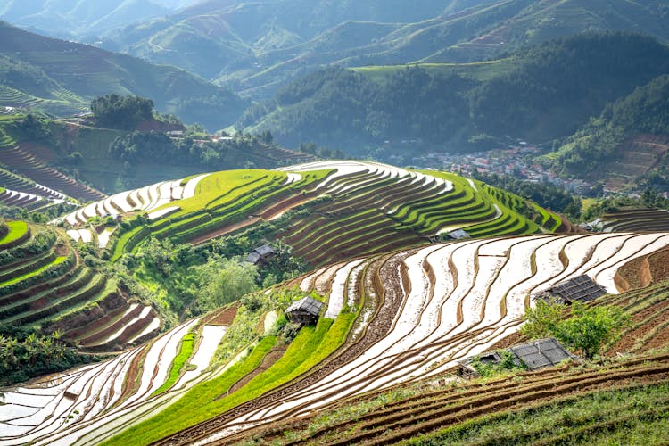 Landscape With Green Rice Terraces