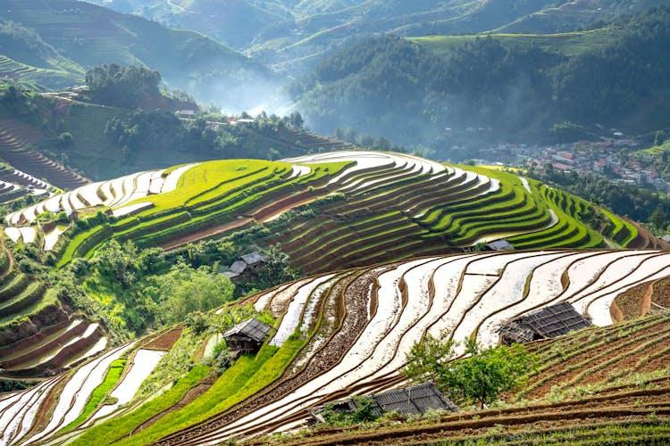 Landscape With Green Rice Terraces And Wooden Shades