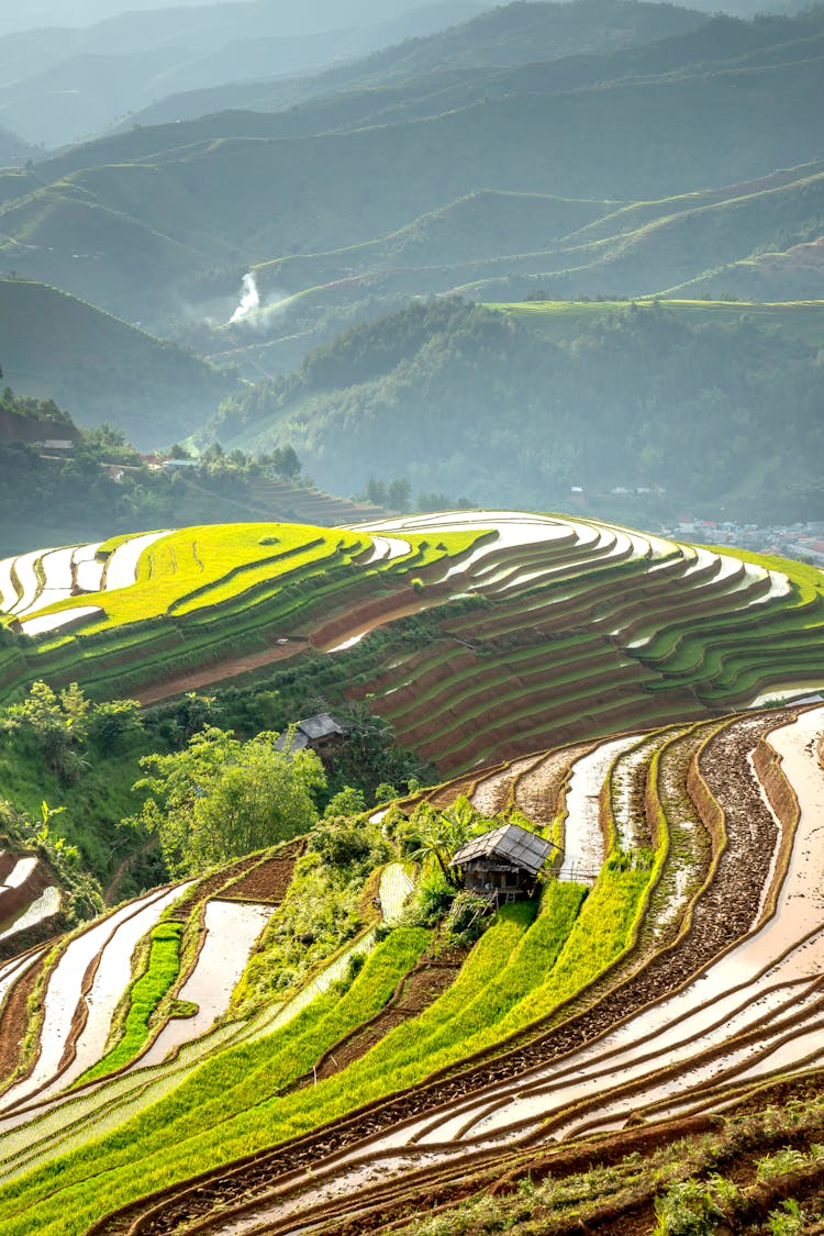 Scenic Landscape With Green Rice Terraces