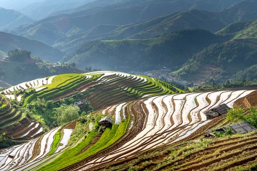Free Beautiful layered rice terraces in idyllic countryside landscape, showcasing agricultural patterns and tranquility. Stock Photo