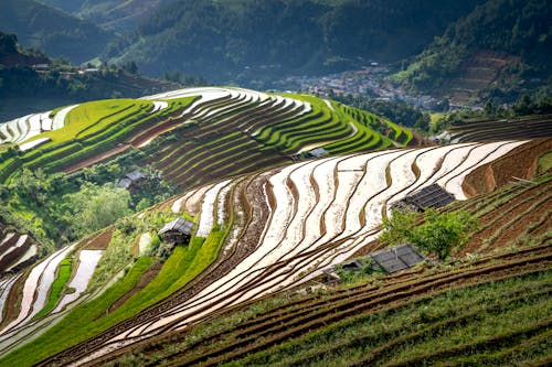 Free Landscape of Longsheng Rice Terraces, Guilin, China Stock Photo