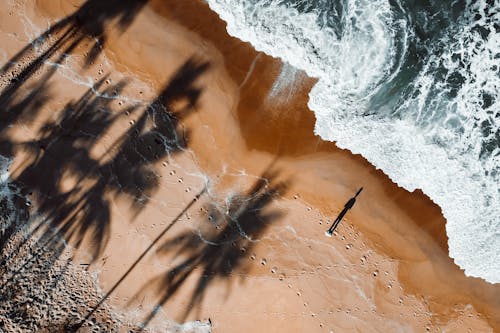 Shadows of Palm Trees on Sand Near the Sea