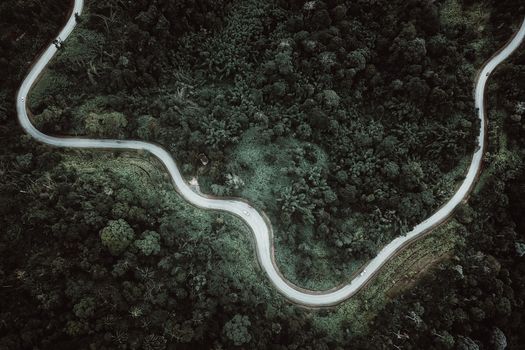 Aerial view of a curved road weaving through lush green forest.
