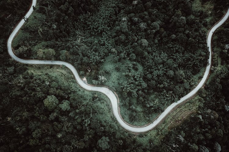 Aerial View Of Curved Road Running Through Forest