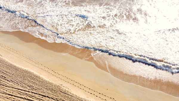 Explore a vista aérea calmante das ondas do oceano quebrando na costa ensolarada de uma praia brasileira.
