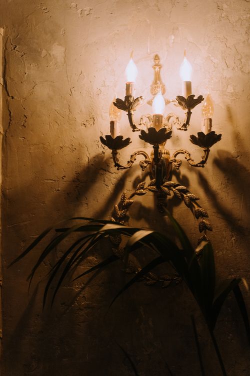 Free Elegant vintage wall sconce casting soft light on a textured wall, adorned with leaves. Stock Photo