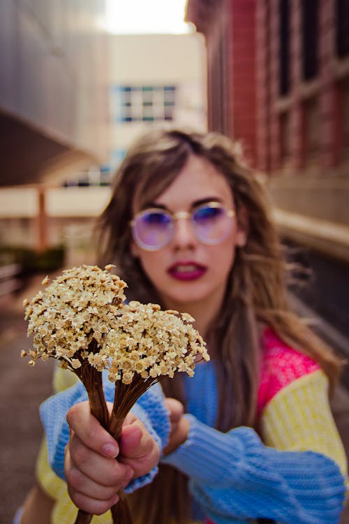 Free A Woman in a Sweater Holding Flowers  Stock Photo