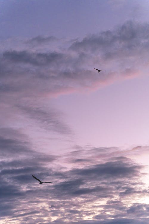 Gambar Awan Aesthetic Ungu / Wallpaper Hd Wallpaper Awan Aesthetic