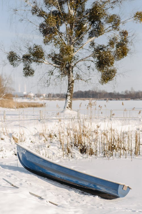 Blue Canoe on White Snow Covered Ground