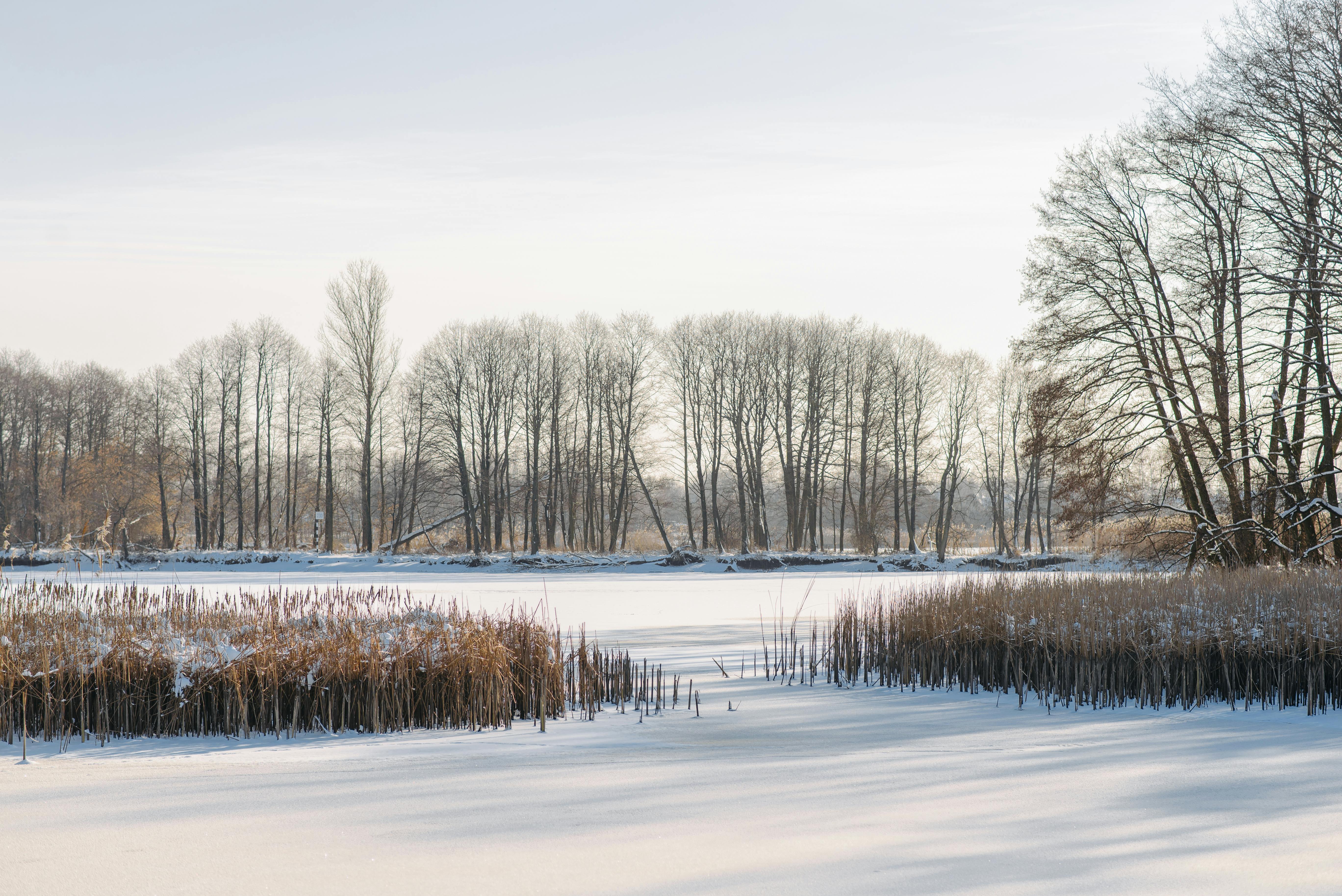 Brown Wooden House on Snow Covered Field