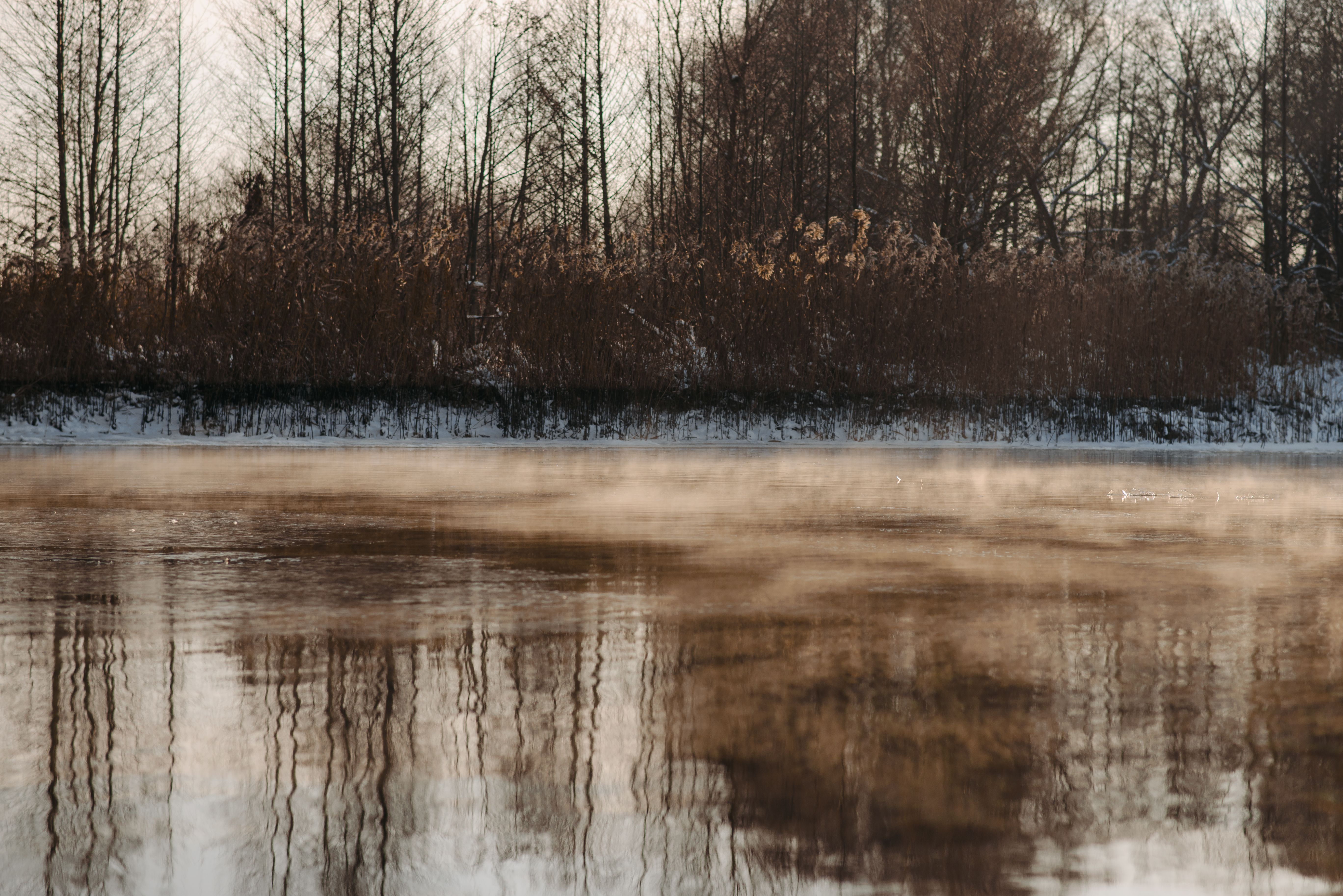 person cold plunging in icy water with steam rising, winter morning