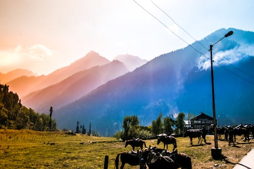 Бесплатное стоковое фото с pahalgam, голубое небо, горы