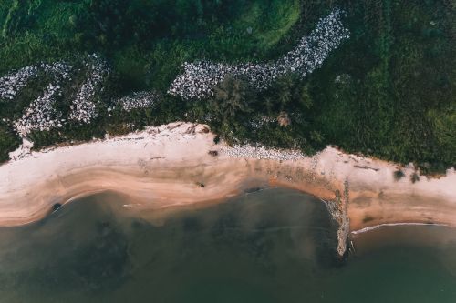 Free Drone shot of Chukai's lush coast with tranquil beach and greenery. Stock Photo