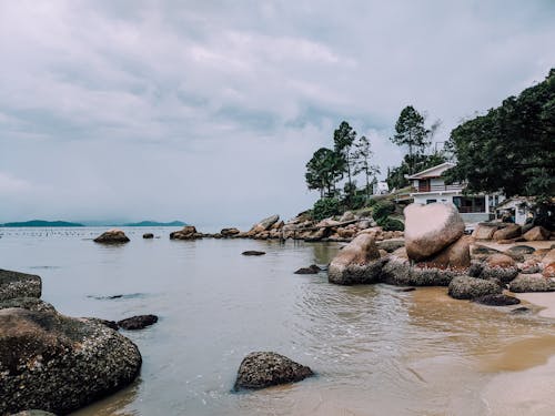 Free Brown Rocks on Sea Shore Stock Photo