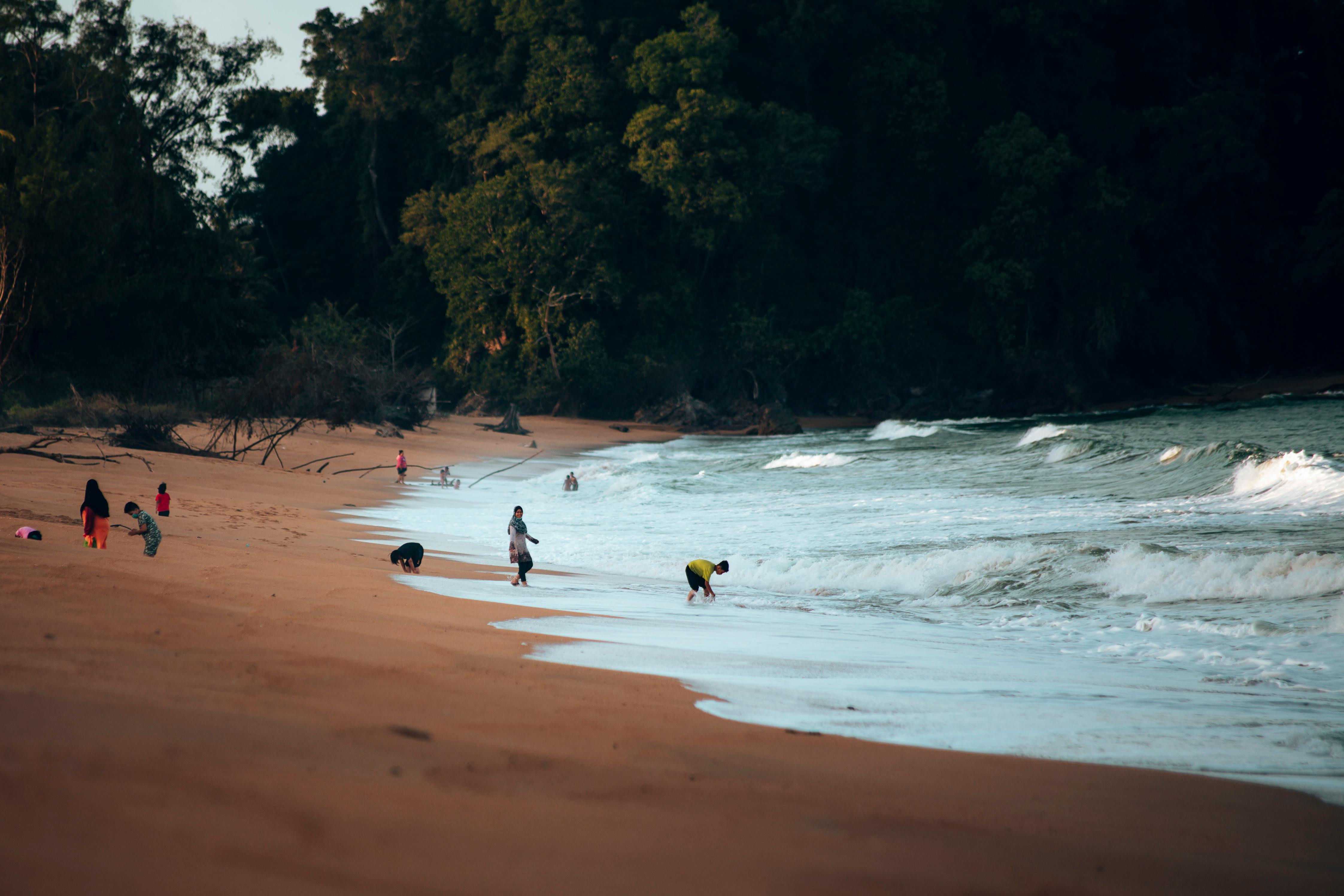 Impermeabilização de telhados rurais, destacando a importância da proteção.
