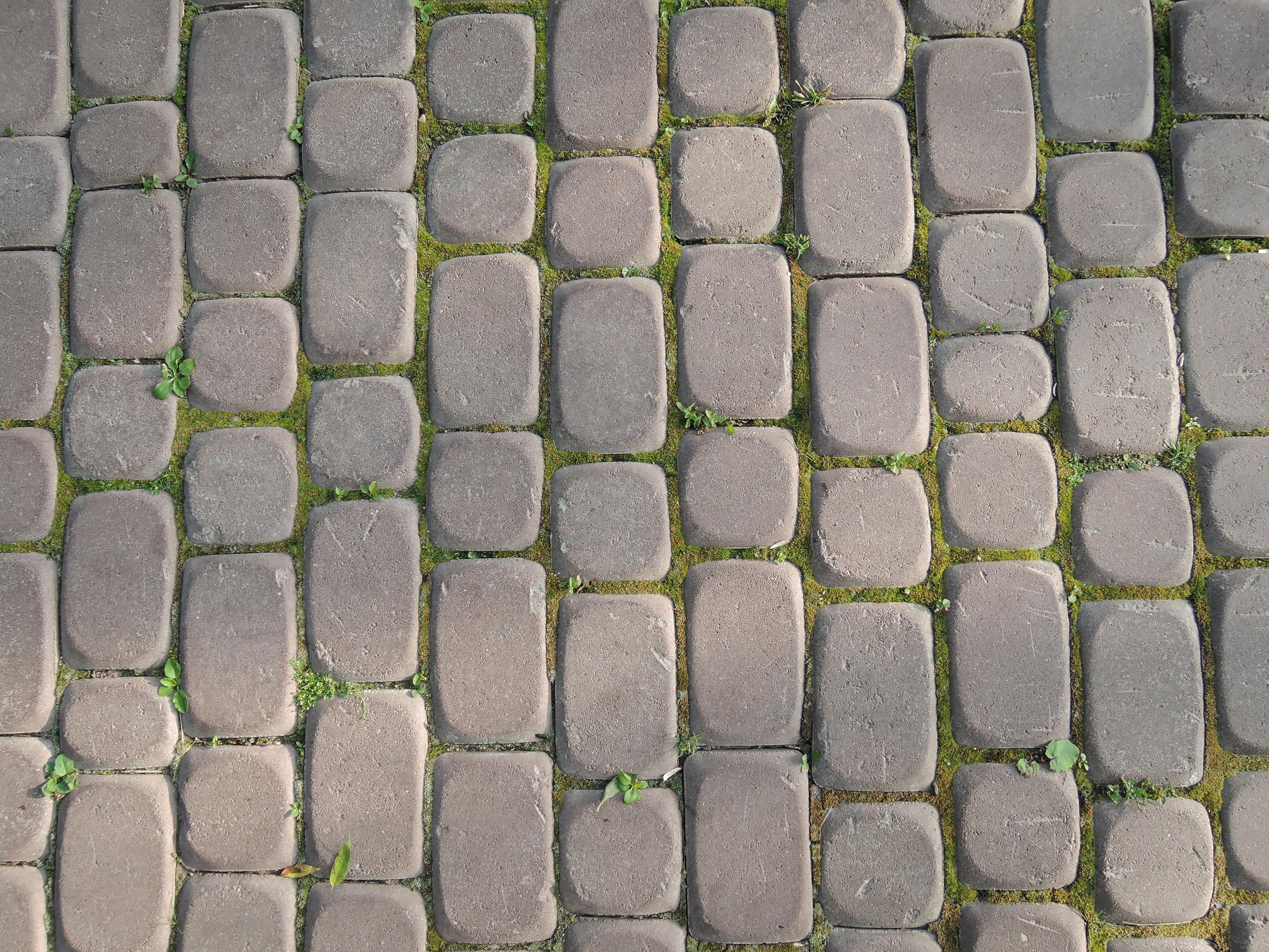 Free stock photo of bricks, bricks texture, road bricks