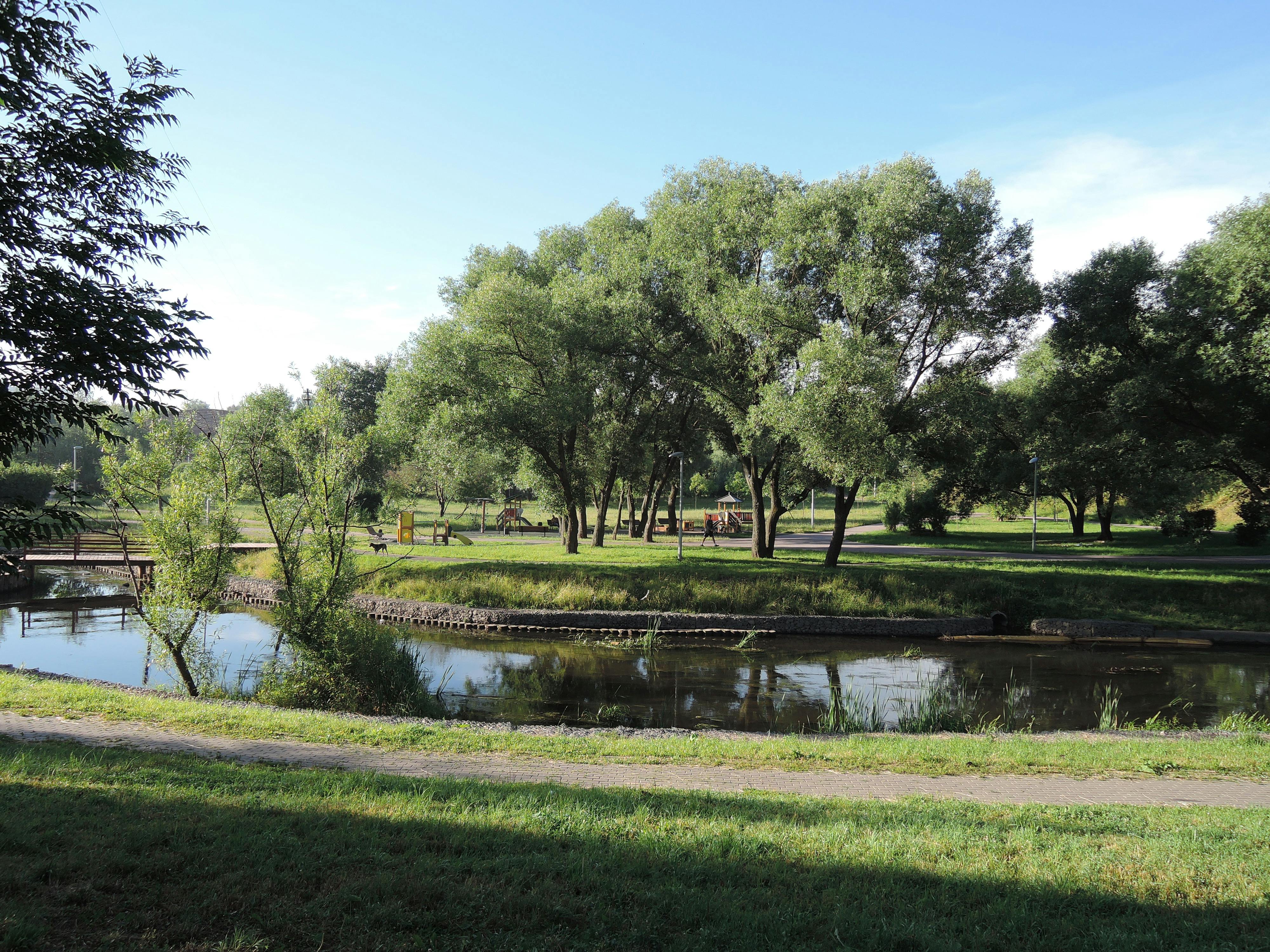 Free stock photo of city green zone, city park, green location