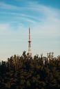 High broadcasting tower located near trees and thick high grass against cloudy blue sky
