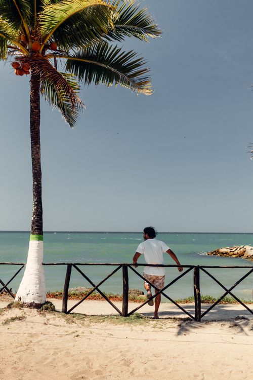 Free A person stands by the seashore under a palm tree, enjoying a calm beach scene. Stock Photo