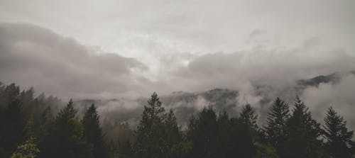 무료 구름, 박무, 산의 무료 스톡 사진