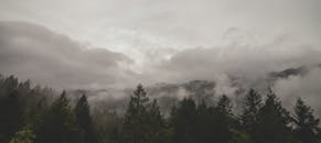 阴天，薄雾笼罩着宁静的森林和山脉