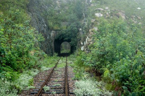 Free A serene view of a railway track entering a tunnel amidst misty, lush green foliage. Stock Photo