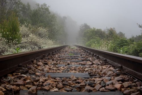 Free A foggy railroad track surrounded by lush greenery creates a mysterious scene. Stock Photo