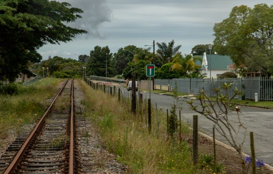 Peaceful countryside view of narrow railway tracks beside road and lush greenery.