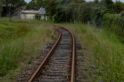 Free A scenic view of a railroad track winding through lush countryside grass and greenery. Stock Photo