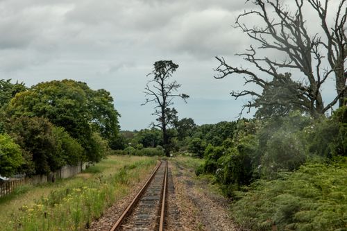 Free A tranquil railway track surrounded by lush green trees and plants, under a cloudy sky. Stock Photo